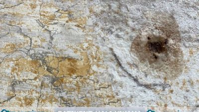 Batıkent Halı Yıkama – Batıkent Halı Yıkama Uzman Ekip Kadrosu