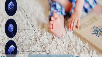 Halı Yıkama Ücretleri / Halı Yıkama Fiyat