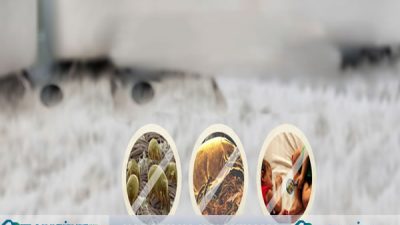 Karşıyaka Halı Yıkama / Halı Yıkama Ustaları